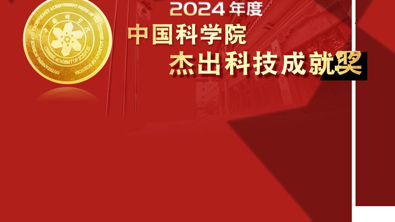 深入解析：低代码平台二次开发之道