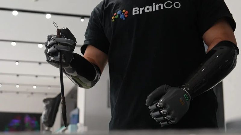 数据湖与数据仓库：核心差异深度解析