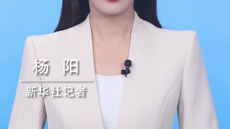 外贸SAAS系统：揭秘十大品牌背后的技术实力与市场策略
